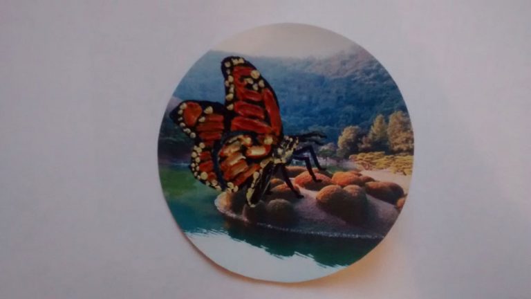 Butterfly Sticker