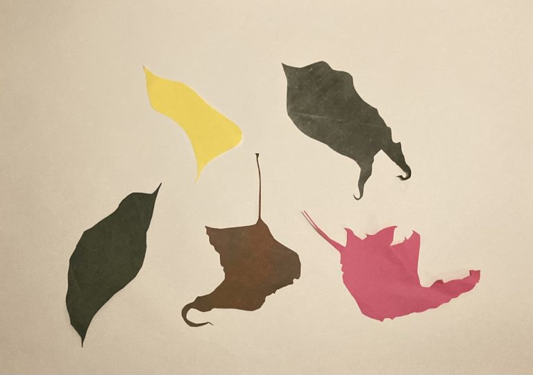 Cut out Leaf Shapes