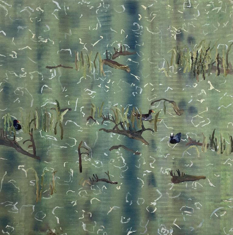 Moorhens in the Wetlands
