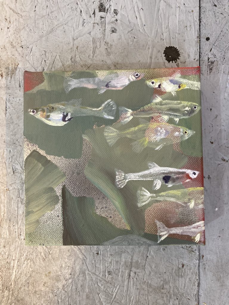Fish in my Local Garden Centre 1